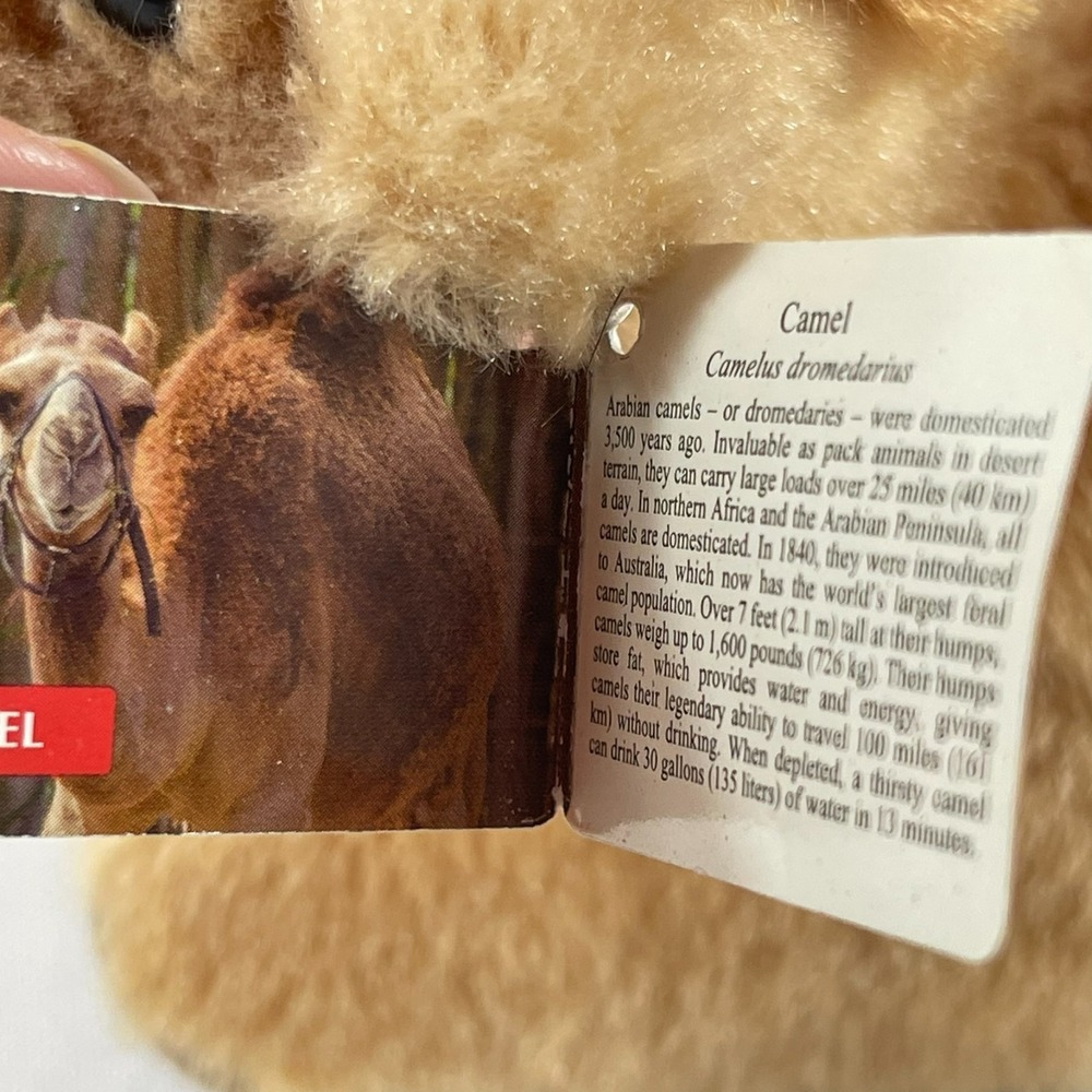 Aurora Mini Camel Plush 8" Stuffed Toy Lovey - Picture 4 of 4